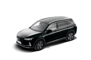 Skywell BE11 - Polar Night Black (met)