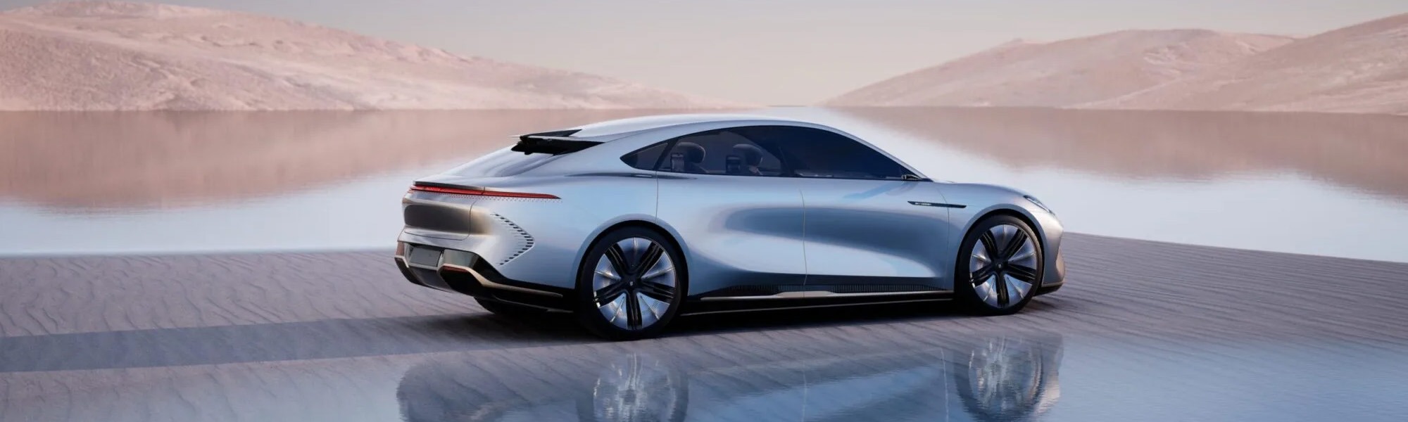 skywell skyhome Banner